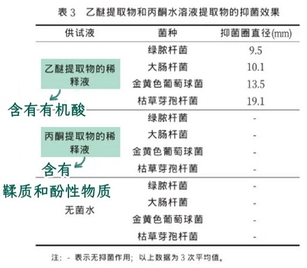 为什么皮肤痒，用香蕉皮擦擦可以缓解？