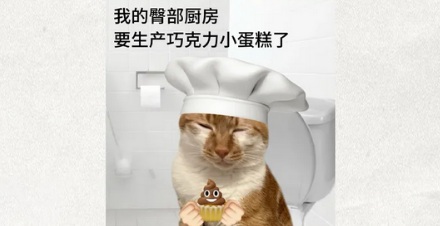 为什么日本的厕所里总会传出鸟叫声？