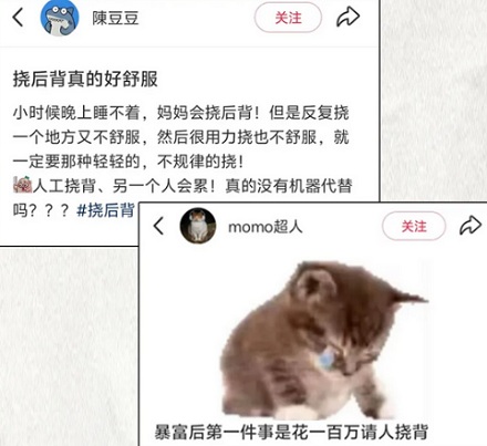 为什么挠后背总让人觉得特别特别爽？