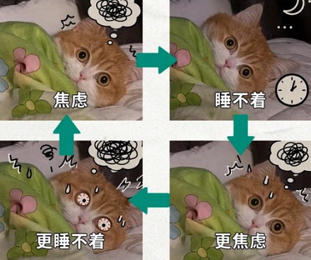 为什么在沙发上睡着很容易，在床上睡着很难？