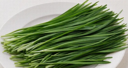 为什么说班味儿其实是韭菜味？