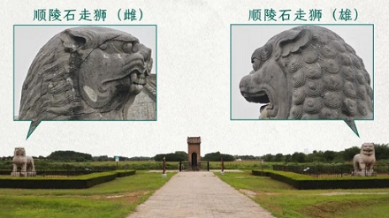 狮子明明有一头柔顺的金毛，为什么石狮子却都是「卷发」？