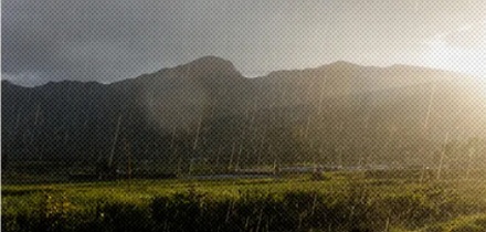 为什么在很多语言里，「太阳雨」都被描述成动物在结婚？