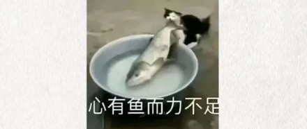 大腿长度，为啥和糖尿病有关？