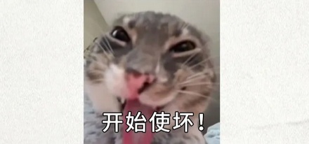 为什么雾霾天出门容易「秃头」？