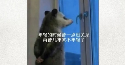 为什么能下出双黄蛋的多是刚开始下蛋的母鸡？