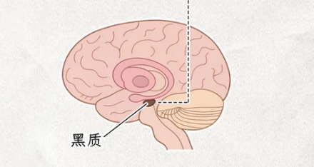 在路上遇到走小碎步的老人，为什么千万不能按喇叭？