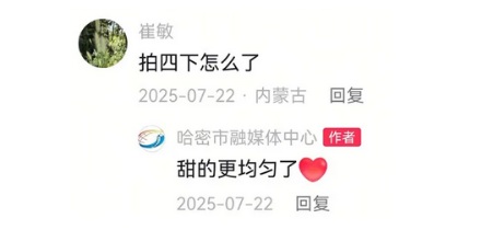 为什么在新疆买无花果时，店家总要先用掌心拍扁它？