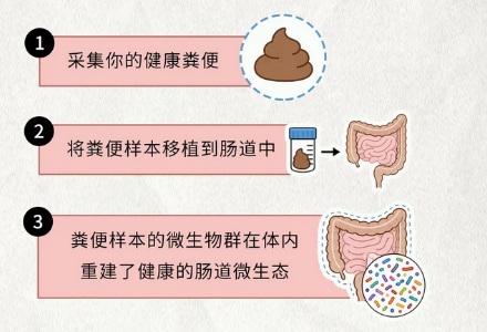 为什么新加坡专门为粪便，开了一家银行？