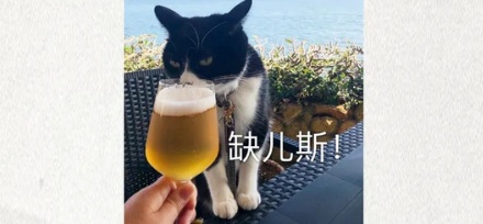 为什么新加坡会推出用尿液污水酿的啤酒？