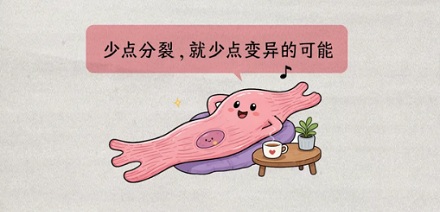 为啥有肠癌、胃癌、肝癌，但是没有「心脏癌」？