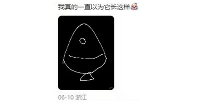 为什么这种鱼的头在浙江、身子在江苏？