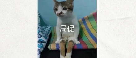 为什么世界杯上的运动员要把自己的球袜剪破？