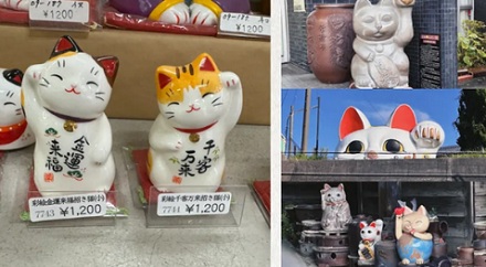 招财猫也分公母，他们各自负责什么？