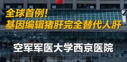为什么给人类移植器官的动物，优先选猪而不选猴子？