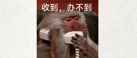 为什么给人类移植器官的动物，优先选猪而不选猴子？