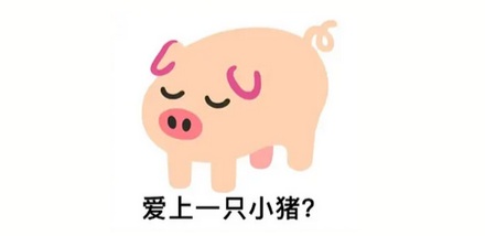 为什么给人类移植器官的动物，优先选猪而不选猴子？