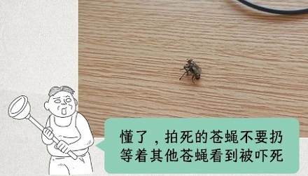苍蝇看到我拍死了它的同伴,会感到害怕吗?