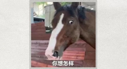 讨好别人为啥是拍马屁,而不是拍牛屁和猪屁?